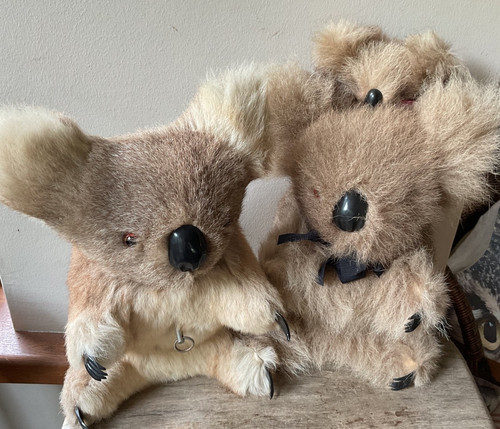 Vintage australian koala bear - australian,