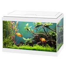 Ciano Aqua 20 Classic Aquarium White/Black with Filter Beginner Fish Tank