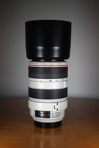 Canon 300mm 6 l is - ef,
