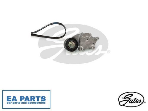 Ribbed belt set - set, ford