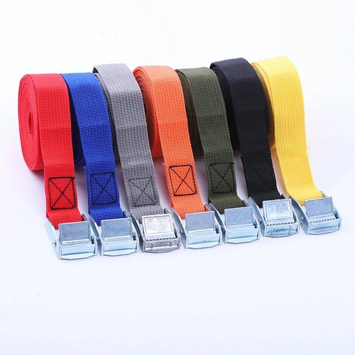 Metal cam buckle tie down - cam,