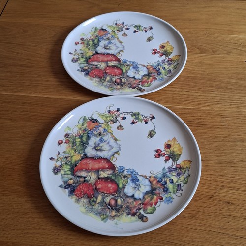 Melamine plates woodland - plates,