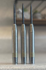 Rare Raymond van Barneveld