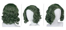 Dark Green Joker Villain Wig Hair Horror Fancy Dress Cosplay Halloween Accesory
