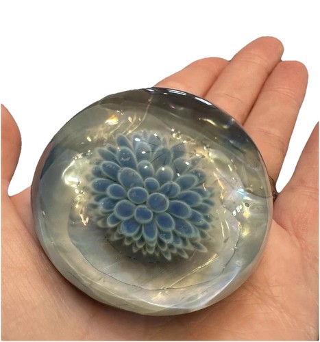 Vtg sea anemone - vtg,