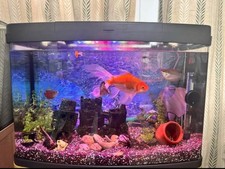 64 Litre Panoramic Fish Tank with stand