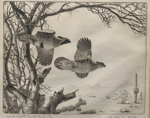 Walter bohl quick flight - bohl, 'quick