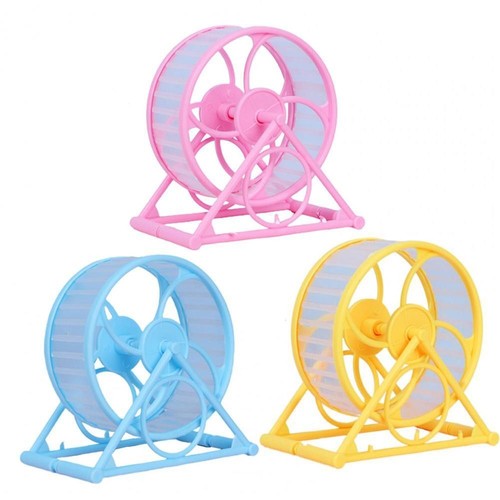 Pet wheel running - wheel,