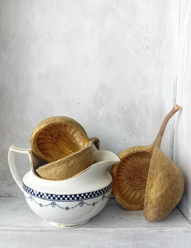 Vintage custard tableware jug - vintage,