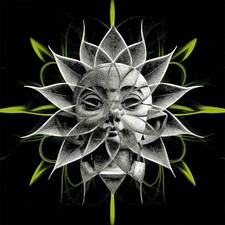 747 - Veiltail/Stairway (Vinyl