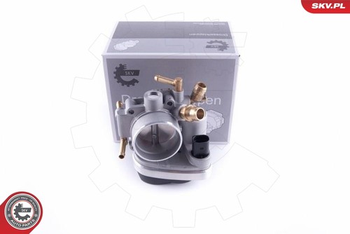 Throttle body esen - throttle, skv
