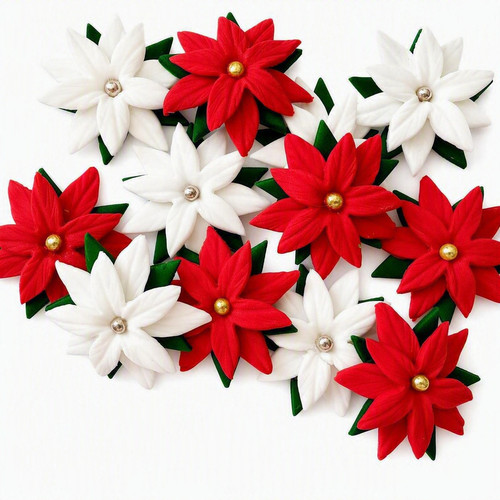 Red and white poinsettias - and,
