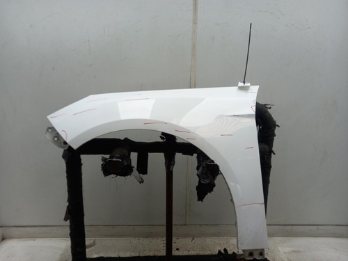 Ford focus left - focus, wing