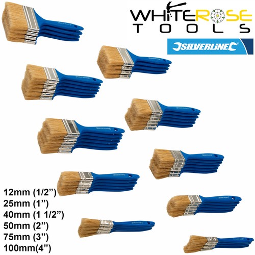 Silverline disposable paint - disposable,