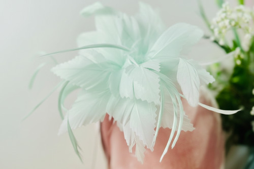 Elegant flower feather - elegant,