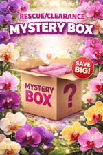 Big box rescue clearance - big,