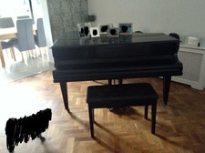 baby grand piano black make challen