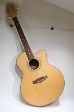 Tanglewood Pro Electro-Acoustic Guitar TW-66 and a Hiscox Liteflite Pro II