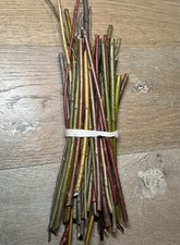 100 Organic Willow Cuttings