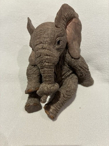 Tuskers sitting elephant - sitting,