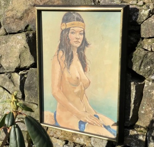 Native american west - native,