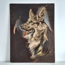 Original Oil on Board Painting German Shepherd Portrait Signed W Furnell Vintage