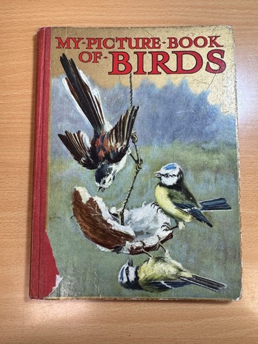 Picture book birds - book,