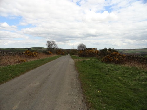 Photo broadwood lane satley - a1,