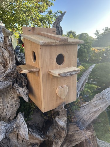 Handmade squirrel house box - squirrel,