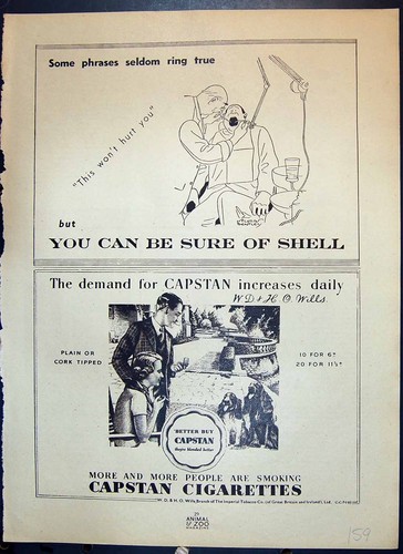 Antique old print shell - old,