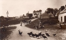 MIDLEM # 845 BY A.R.EDWARDS, SELKIRK