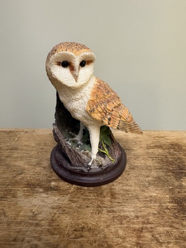 Barn owl the country bird - barn,