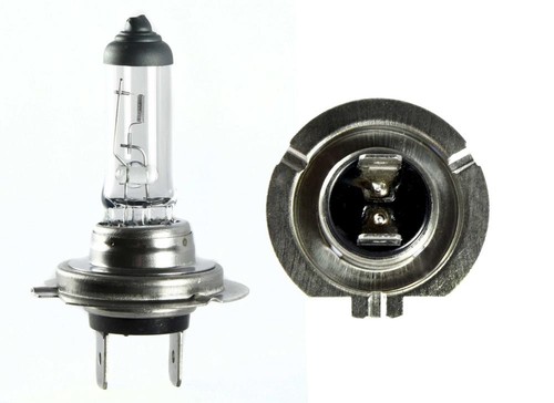 Bulb headlight for 2001 - for,
