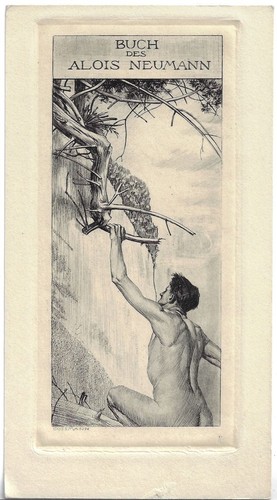 Alfred cossmann exlibris - alfred,