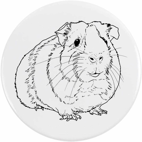Guinea pig button lapel - /,