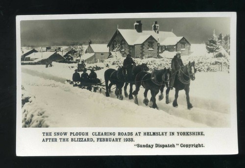 Helmsley yorks horse - yorks,
