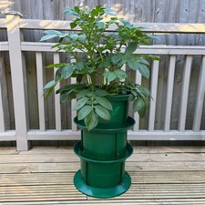 Platform Potato Growing Pot