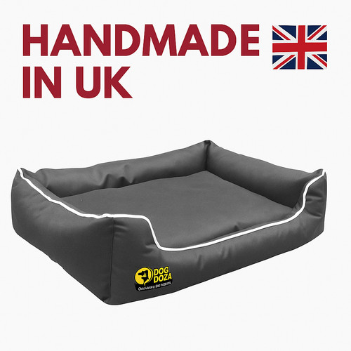 Memory foam dog bed - -, uk