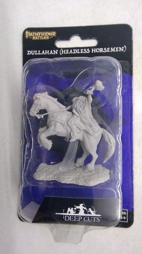 Pathfinder battles miniature - miniature, ~
