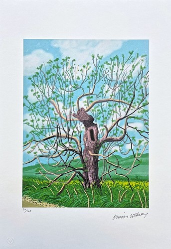 David hockney the - hockney, arrival
