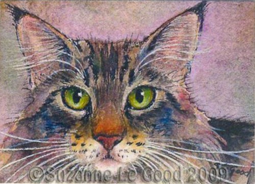 Maine coon cat - maine, art