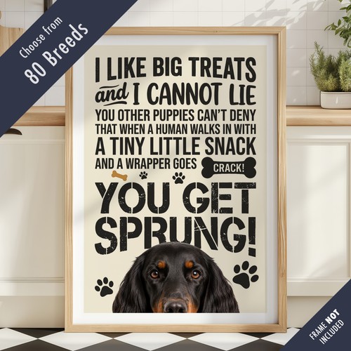 Funny dog treats - dog,