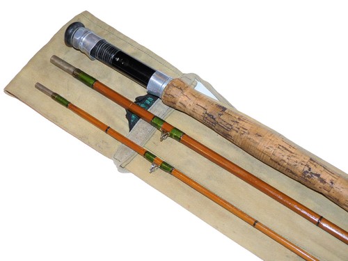 Hardy neo cane glen - cane, etive