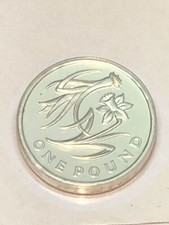 2013 £1 Old Round One Pound
