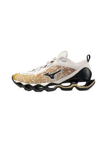 Mizuno wave prophecy 2 - prophecy, 13.2