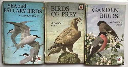 Vintage ladybird - x,