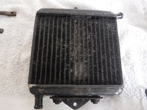 Aprilia rs50 engine - engine, cooling