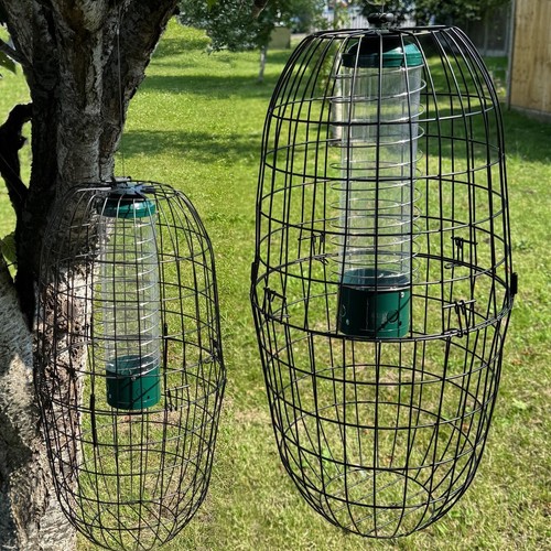 Large squirrel proof - squirrel, hanging