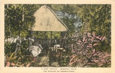 1920s Cozy Corner Bushkill Falls Niagara Pennsylvania Hand colored 497 postcard