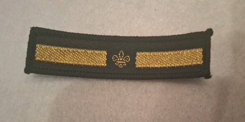Scout badge assistant - -, patrol